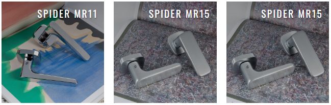 spider.PNG